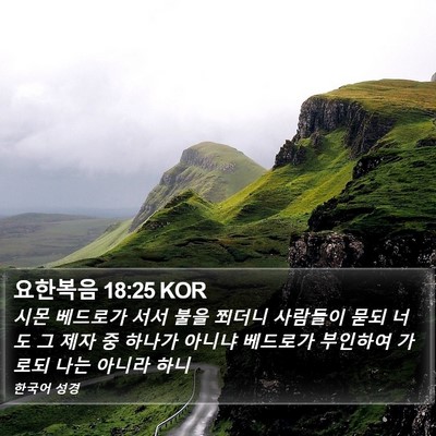 요한복음 18:25 KOR Bible Verse Image