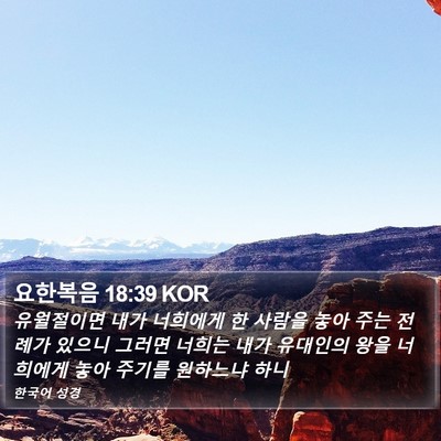 요한복음 18:39 KOR Bible Verse Image