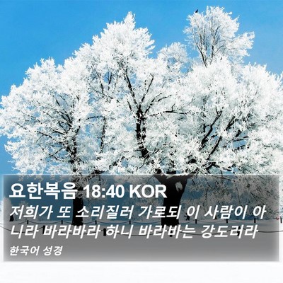 요한복음 18:40 KOR Bible Verse Image