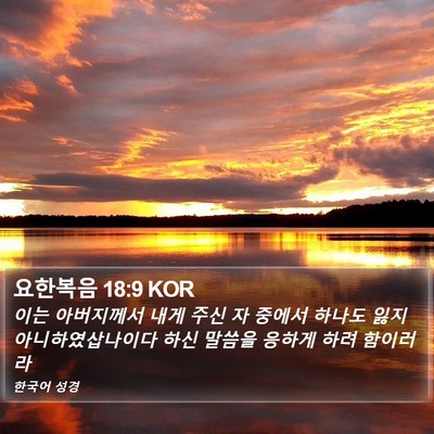 요한복음 18:9 KOR Bible Verse Image