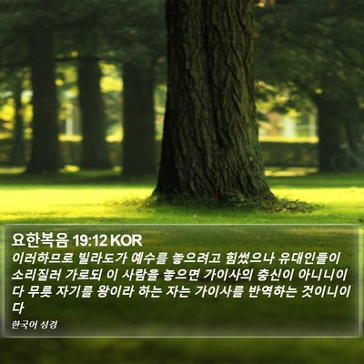 요한복음 19:12 KOR Bible Verse Image