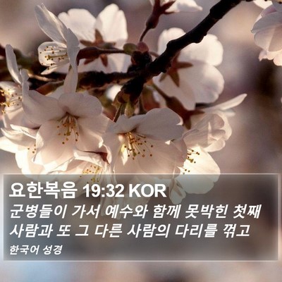 요한복음 19:32 KOR Bible Verse Image