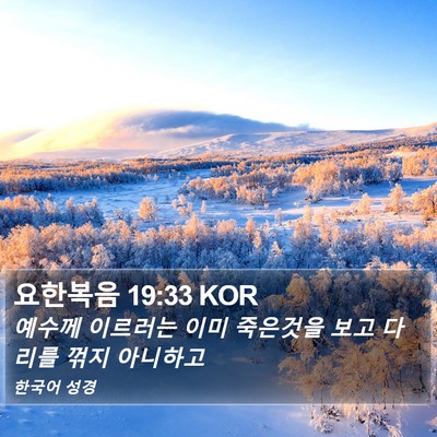 요한복음 19:33 KOR Bible Verse Image