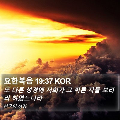 요한복음 19:37 KOR Bible Verse Image