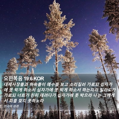요한복음 19:6 KOR Bible Verse Image