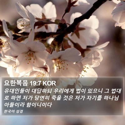 요한복음 19:7 KOR Bible Verse Image