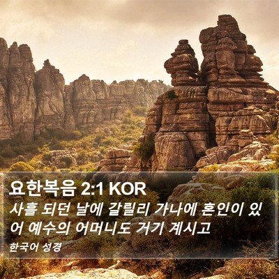 요한복음 2:1 KOR Bible Verse Image