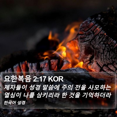 요한복음 2:17 KOR Bible Verse Image