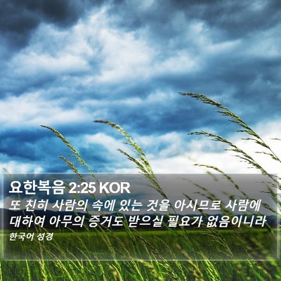 요한복음 2:25 KOR Bible Verse Image