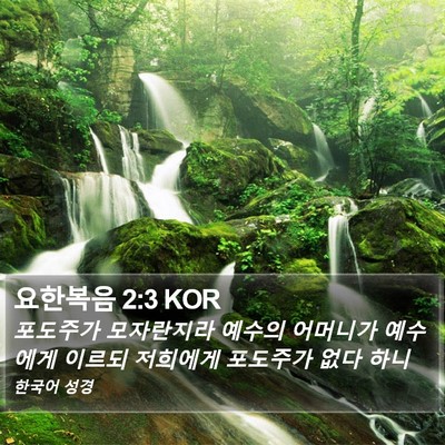 요한복음 2:3 KOR Bible Verse Image