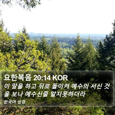 요한복음 20:14 KOR Bible Verse Image