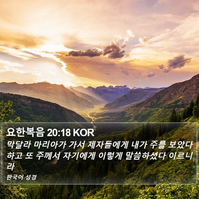 요한복음 20:18 KOR Bible Verse Image