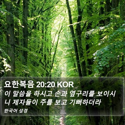 요한복음 20:20 KOR Bible Verse Image