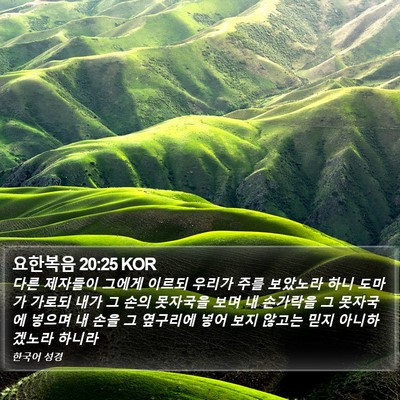 요한복음 20:25 KOR Bible Verse Image