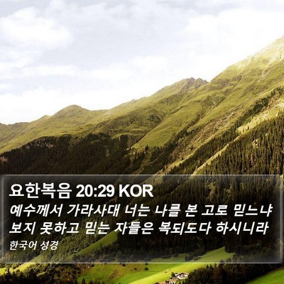 요한복음 20:29 KOR Bible Verse Image