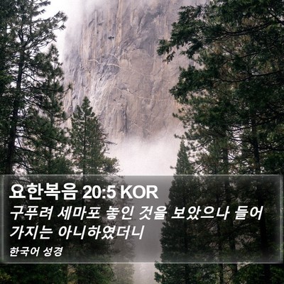 요한복음 20:5 KOR Bible Verse Image