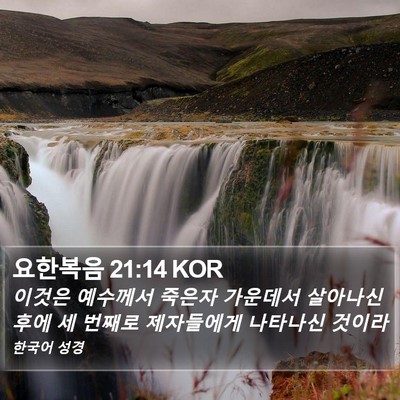 요한복음 21:14 KOR Bible Verse Image