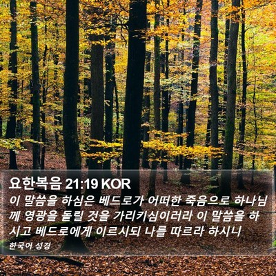 요한복음 21:19 KOR Bible Verse Image