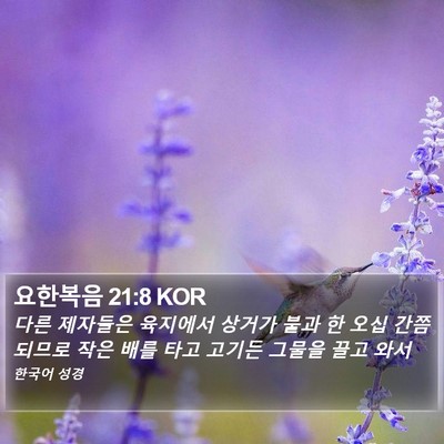 요한복음 21:8 KOR Bible Verse Image