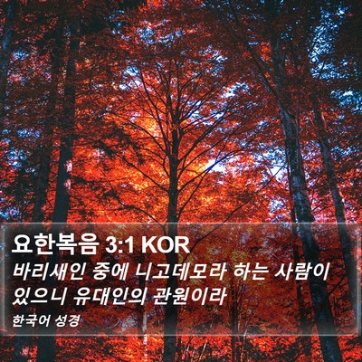 요한복음 3:1 KOR Bible Verse Image