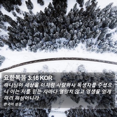 요한복음 3:16 KOR Bible Verse Image