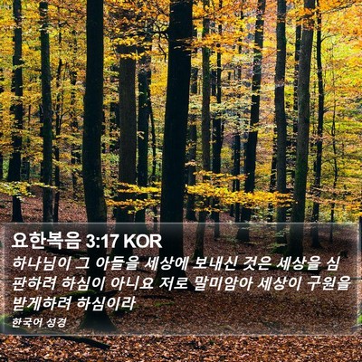 요한복음 3:17 KOR Bible Verse Image