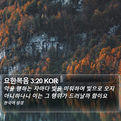 요한복음 3:20 KOR Bible Verse Image