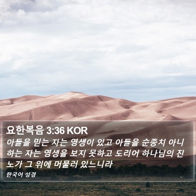 요한복음 3:36 KOR Bible Verse Image
