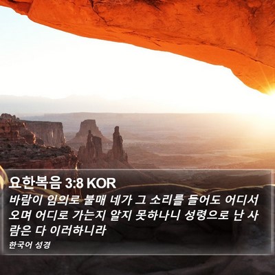 요한복음 3:8 KOR Bible Verse Image