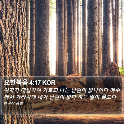 요한복음 4:17 KOR Bible Verse Image
