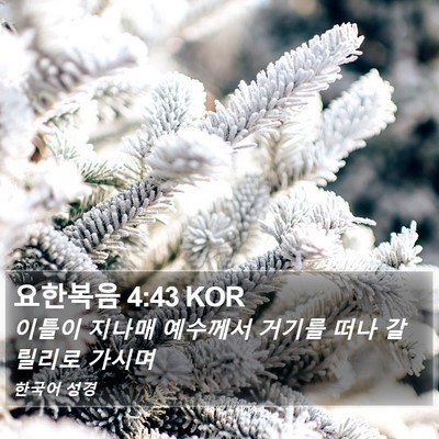 요한복음 4:43 KOR Bible Verse Image