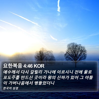 요한복음 4:46 KOR Bible Verse Image