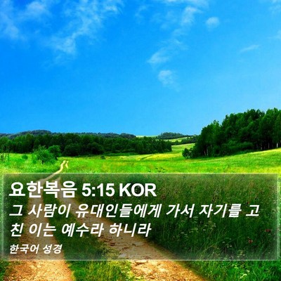 요한복음 5:15 KOR Bible Verse Image
