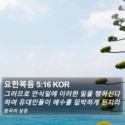 요한복음 5:16 KOR Bible Verse Image