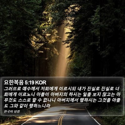 요한복음 5:19 KOR Bible Verse Image