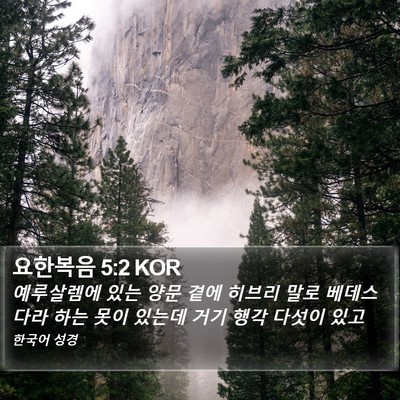 요한복음 5:2 KOR Bible Verse Image