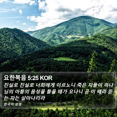요한복음 5:25 KOR Bible Verse Image
