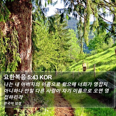 요한복음 5:43 KOR Bible Verse Image