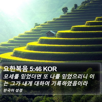 요한복음 5:46 KOR Bible Verse Image