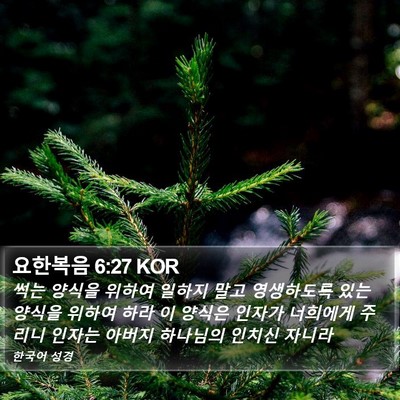 요한복음 6:27 KOR Bible Verse Image