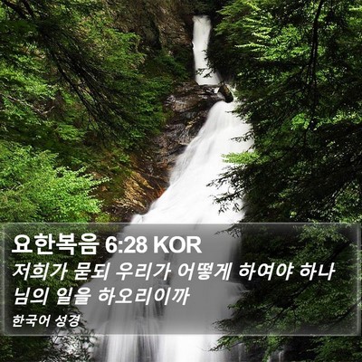 요한복음 6:28 KOR Bible Verse Image