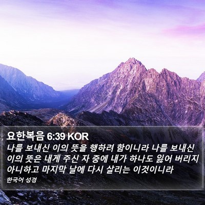 요한복음 6:39 KOR Bible Verse Image