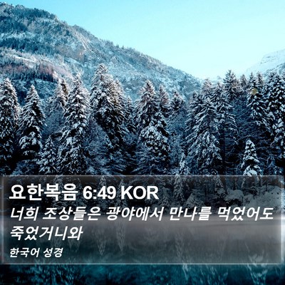 요한복음 6:49 KOR Bible Verse Image