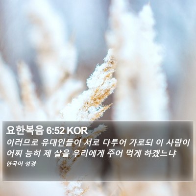 요한복음 6:52 KOR Bible Verse Image
