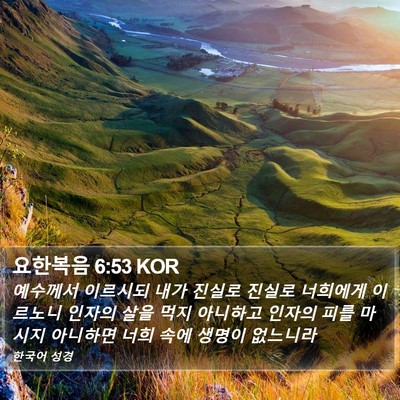 요한복음 6:53 KOR Bible Verse Image