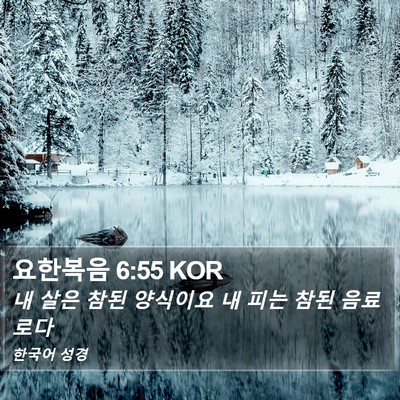 요한복음 6:55 KOR Bible Verse Image
