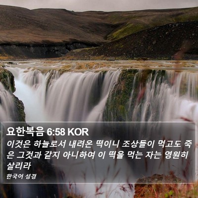 요한복음 6:58 KOR Bible Verse Image