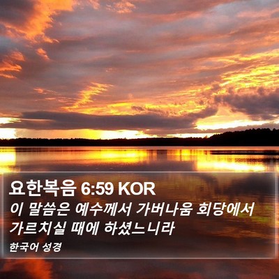 요한복음 6:59 KOR Bible Verse Image