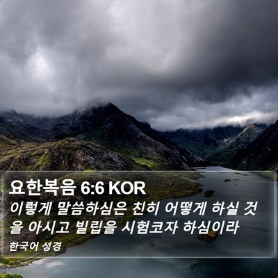 요한복음 6:6 KOR Bible Verse Image