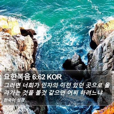 요한복음 6:62 KOR Bible Verse Image